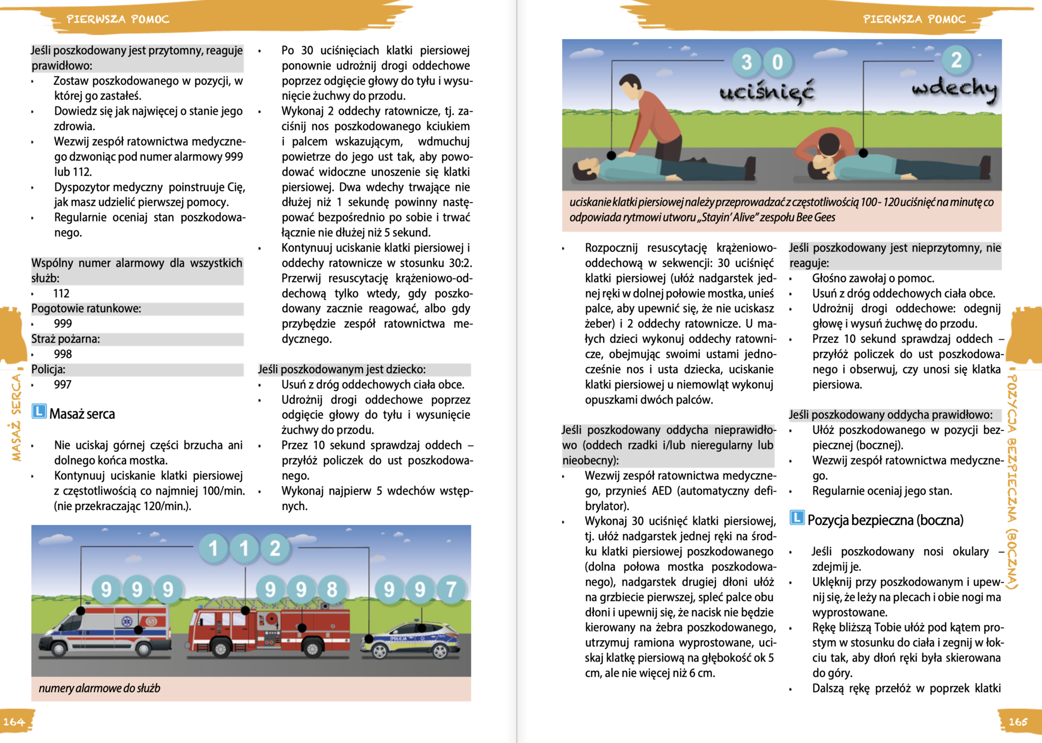 Define Testy PRAWO JAZDY – Podręcznik na kategorie BACDT + Testy on-line – sklep z ...